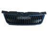 BUGIAD BSP23948 Radiator Grille